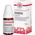 Harpagophytum Proc D 6 (10 g)