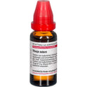 Thuja Extern (20 ml)