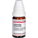 Lachnanthes Tinct C30 (10 g)