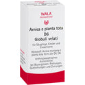 Arnica E Planta Tota D 6 (20 g)