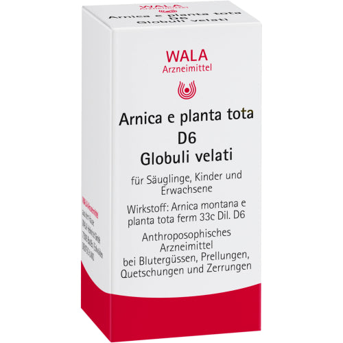 Arnica E Planta Tota D 6 (20 g)