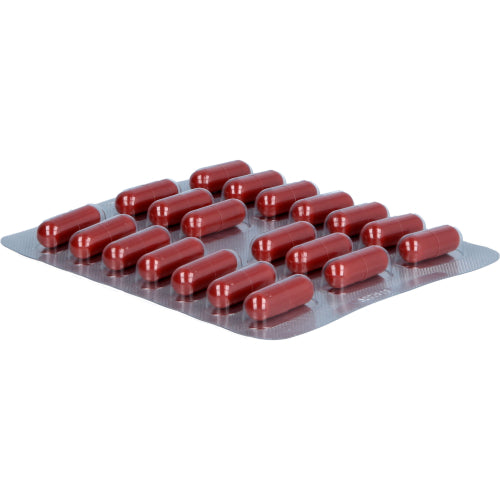 Legalon Forte Madaus (180 stk.)