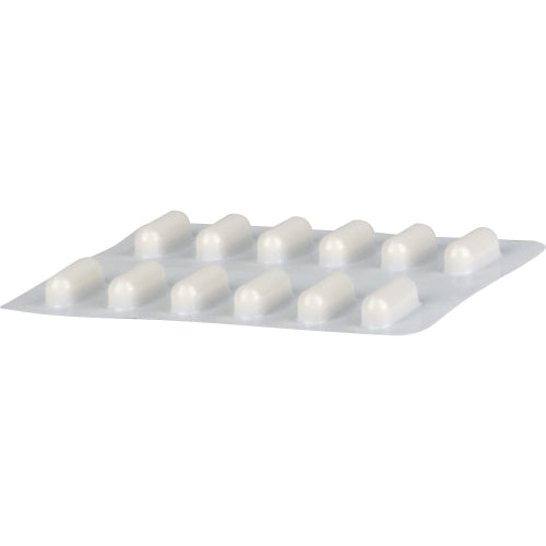 Silomat DMP INT gegen Reflux (12 Stück)