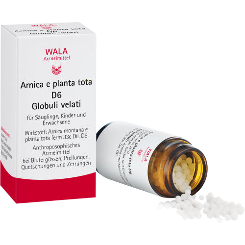 Arnica E Planta Tota D 6 (20 g)