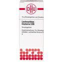 Lachnanthes Tinct C30 (10 g)