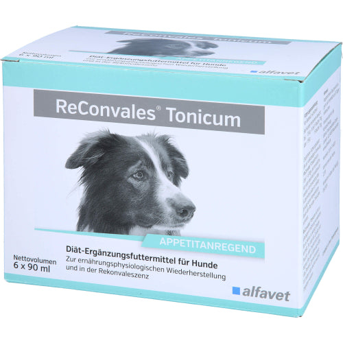 Reconvales Tonicum Hund (6X90 ml)