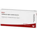 Helleborus NIG E PL TO D 3 (10X1 ml)