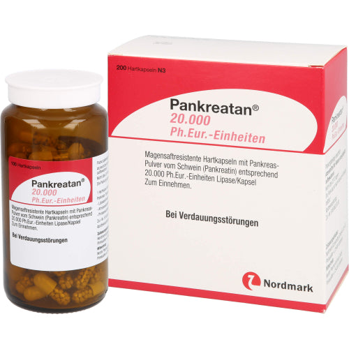 Pankreatan 20.000 Ph.Eur.-Einheiten (200 stk.ück)
