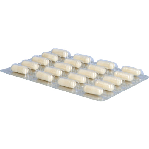 Darmflora Plus Select (40 Stk.)