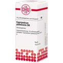 Cypripedium Pubesc D 6 (10 g)
