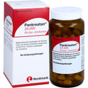 Pankreatan 20.000 Ph.Eur.-Einheiten (100 Stk.)