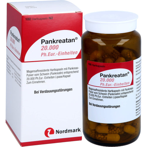 Pankreatan 20.000 Ph.Eur.-Einheiten (100 Stk.)