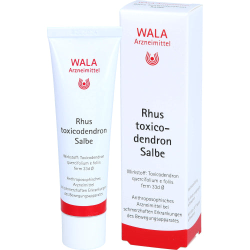 Rhus Toxicodendron Salbe (30 g)