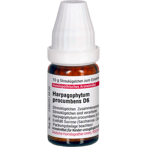 Harpagophytum Proc D 6 (10 g)