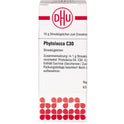 Phytolacca C30 (10 g)