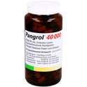 Pangrol 40000 (100 stk.ück)