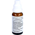 LF1 Echinacea CP JSO (20 g)