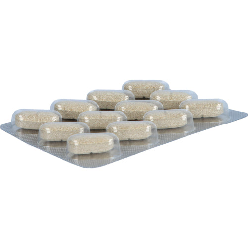 Gse Repair Rapid Acid (36 Stück)