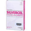Silvercel Hydr Verba 5X5 (10 Stk.)