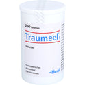 Traumeel S (250 St.)