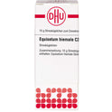 Equisetum Hiemale C30 (10 g)