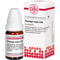Plantago Major C30 (10 g)