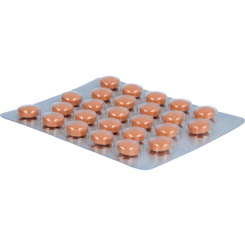 Angocin Anti Infekt N (100 stk.)