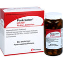 Pankreatan 40.000 Ph.Eur.-Einheiten (200 stk.ück)