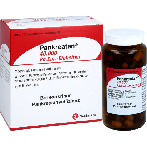 Pankreatan 40.000 Ph.Eur.-Einheiten (200 stk.ück)