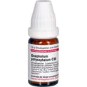 Gnaphalium Polyc C30 (10 g)