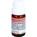 Hypericum D6 (10 g)