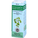 Ginkgobakehl D 4 (30 ml)
